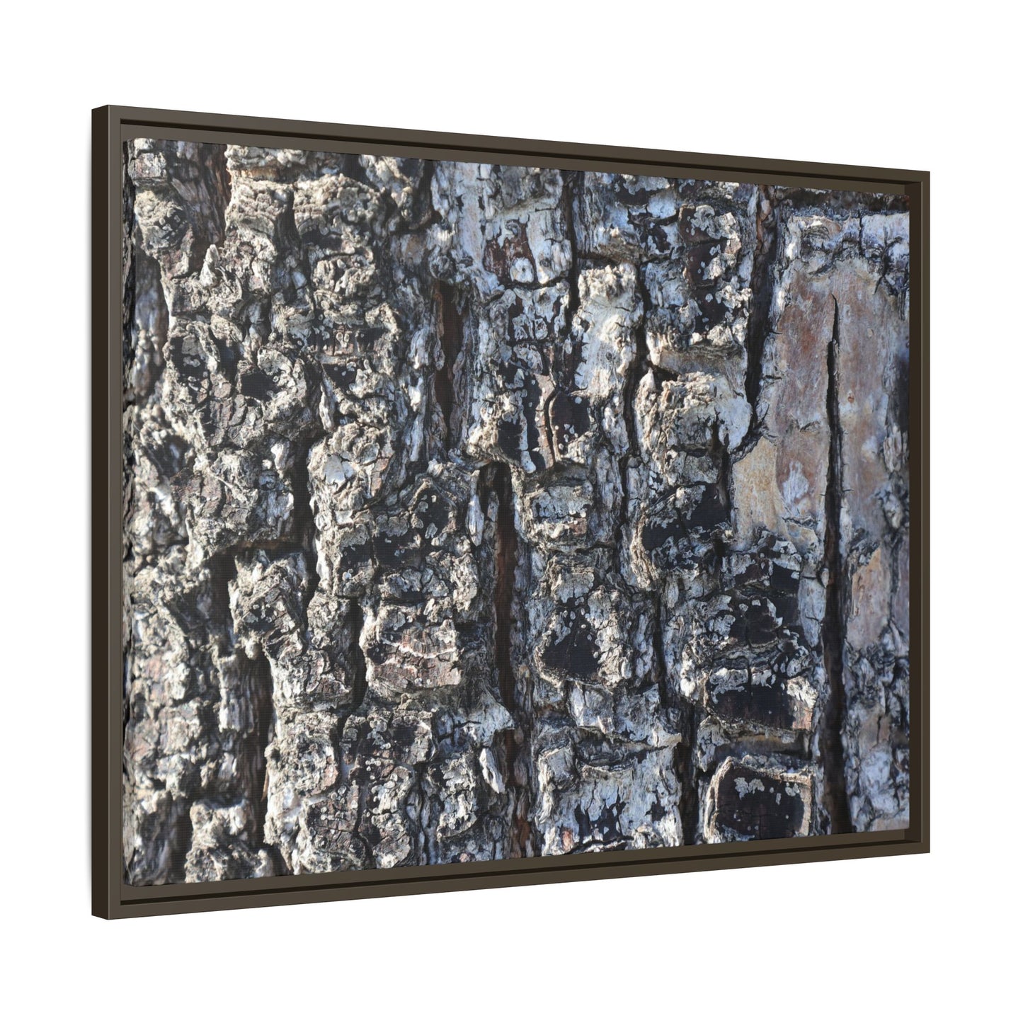 The Bark Chronicles - Unique Stretched Canvas Wall Art - Art By Earth