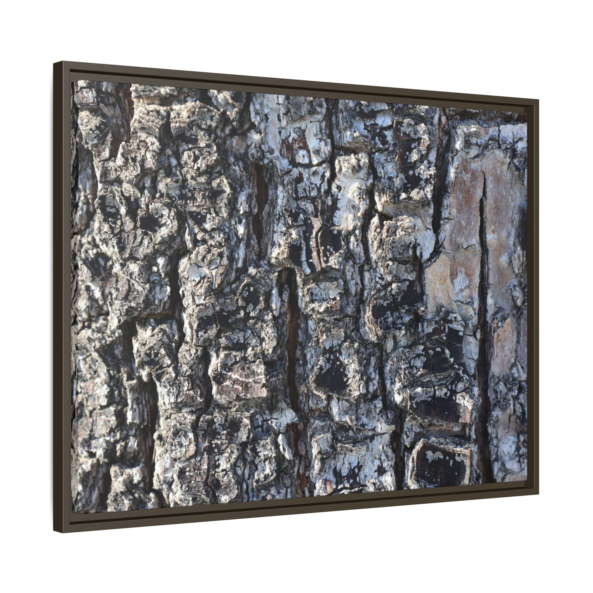 The Bark Chronicles - Unique Stretched Canvas Wall Art - Art By Earth