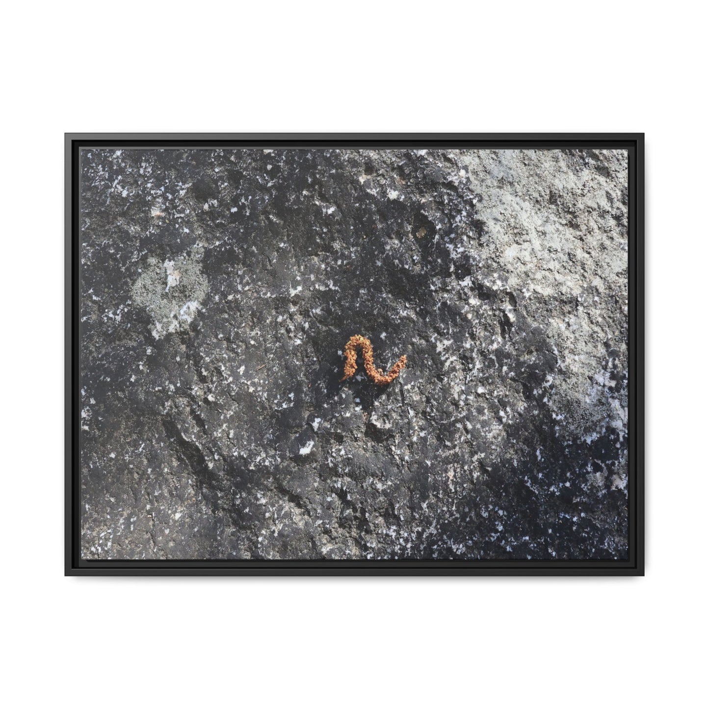 Volcanic Ash and Copper - Unique Stretched Canvas Wall Art - Art By Earth
