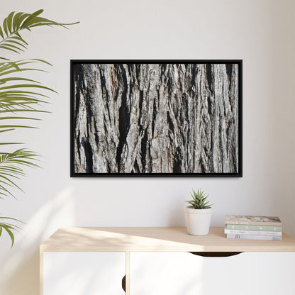 Nature's Abstract - Unique Stretched Canvas Wall Art - Art By Earth