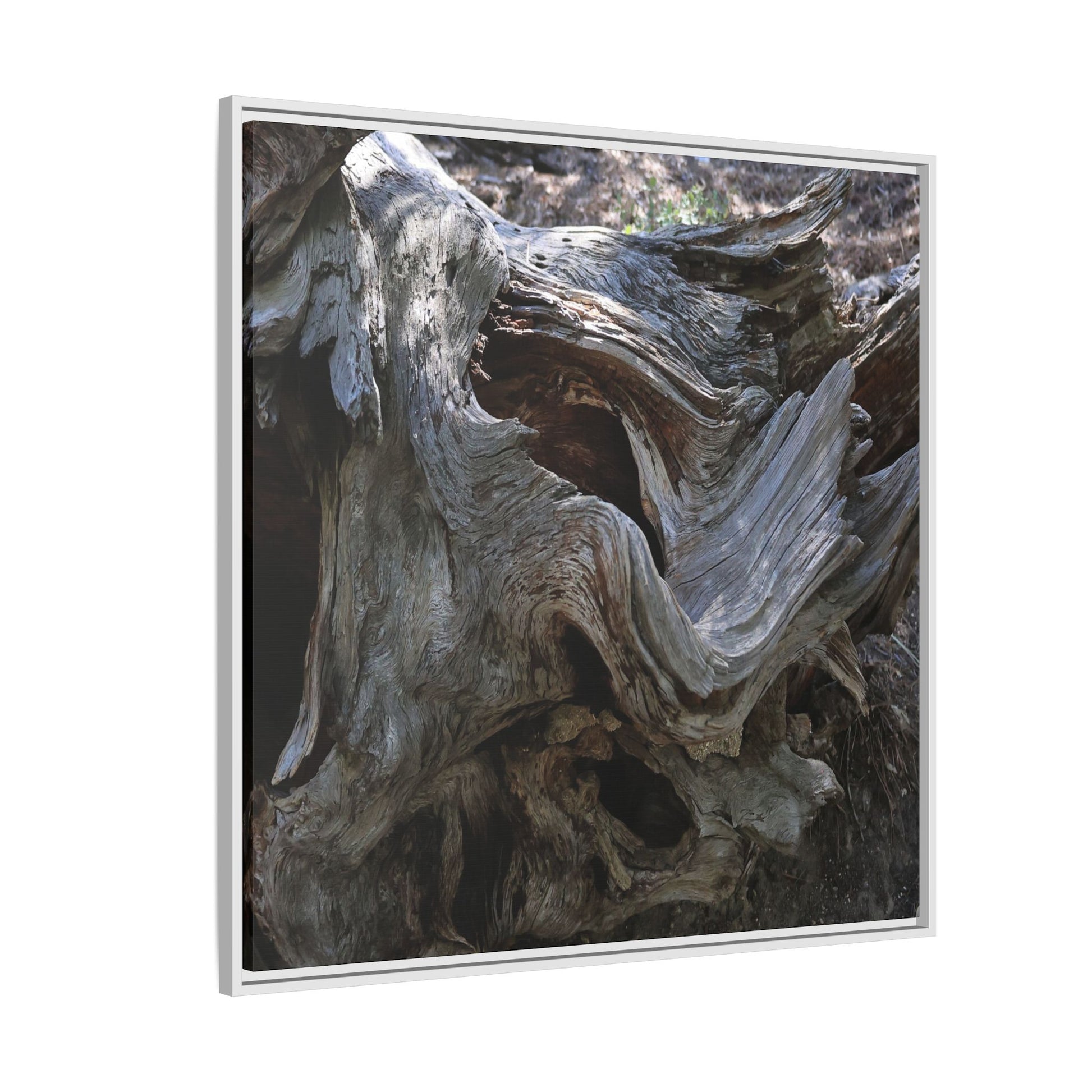 Twisted Memories - Unique Stretched Canvas Wall Art - Art By Earth