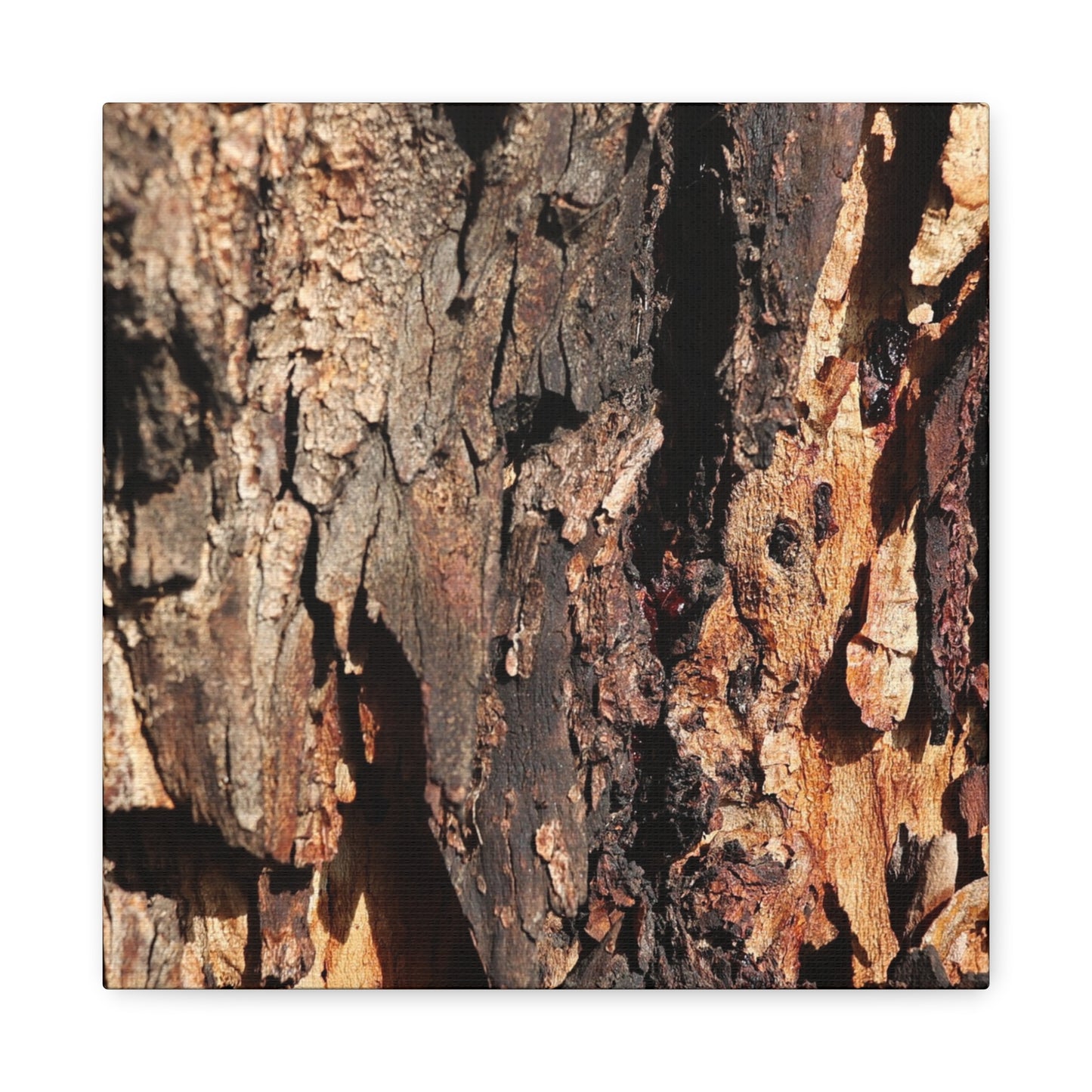 Wooden Terrain - Unique Frameless Canvas Wall Art - Art By Earth