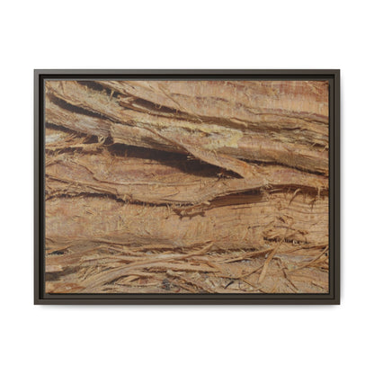 Splintered Bark - Unique Stretched Canvas Wall Art - Art By Earth