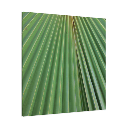 Fan of Green - Unique Frameless Canvas Wall Art - Art By Earth