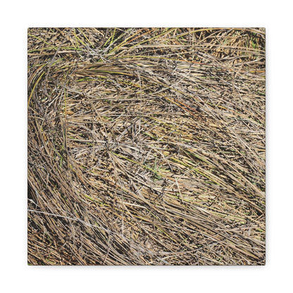 Tangled Hay - Unique Stretched Canvas Wall Art - Art By Earth