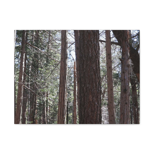 Vertical Sentinels - Unique Frameless Canvas Wall Art - Art By Earth