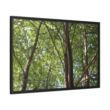 Forest Branches - Unique Stretched Canvas Wall Art