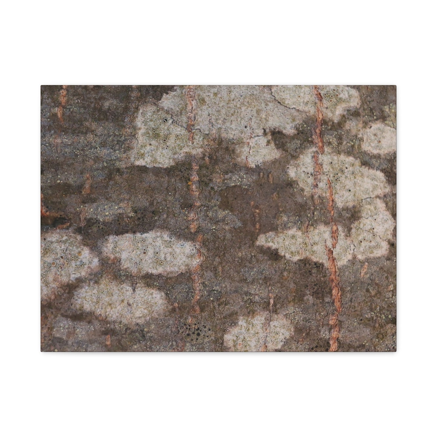 Earthen Memoir - Unique Frameless Canvas Wall Art - Art By Earth