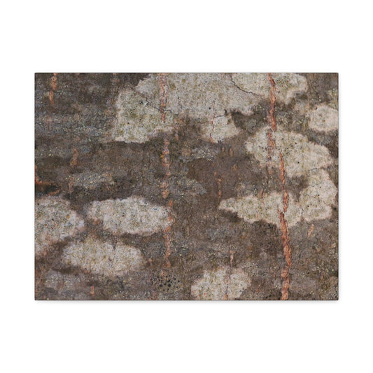 Earthen Memoir - Unique Frameless Canvas Wall Art - Art By Earth