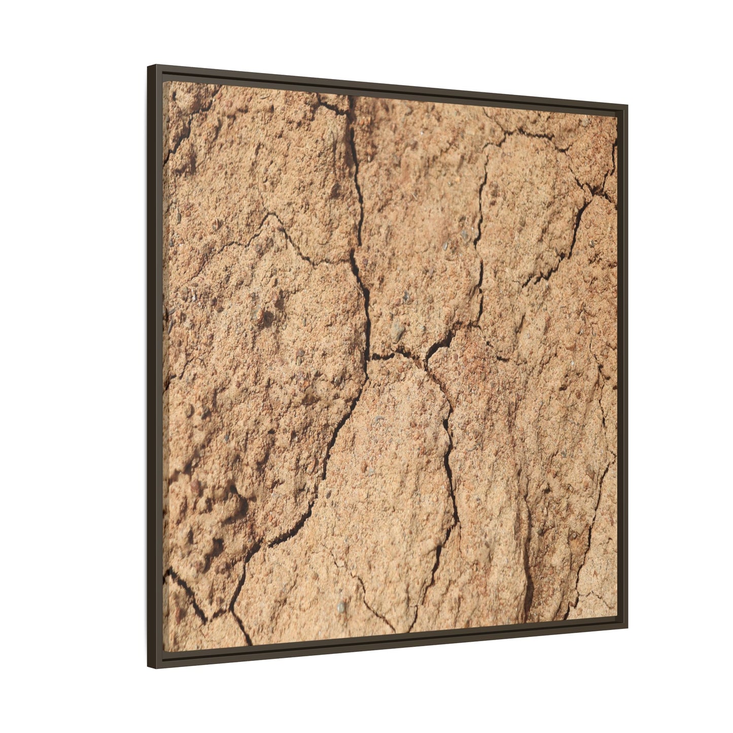 Parched Land - Unique Stretched Canvas Wall Art - Art By Earth