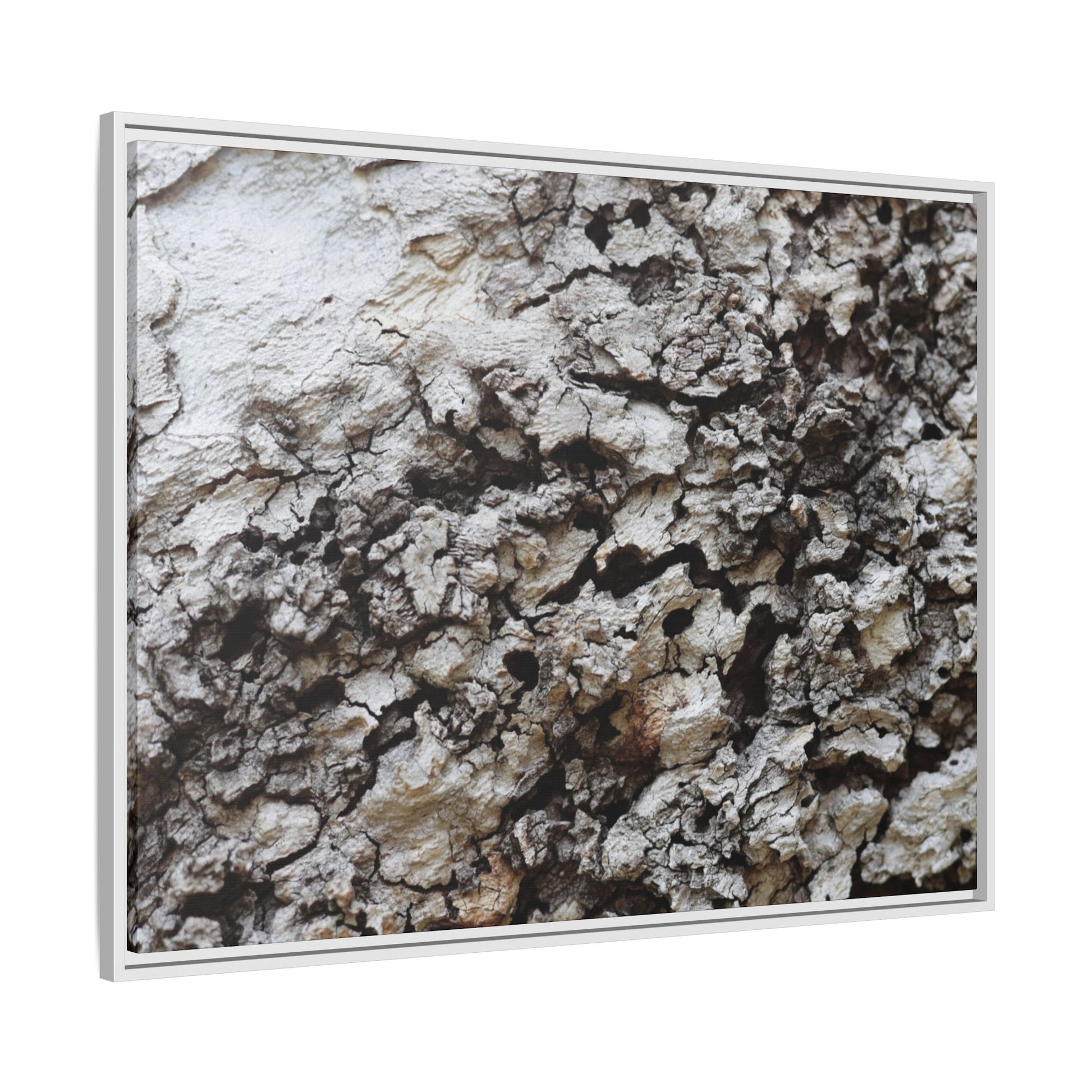 Cracked Terrain - Unique Stretched Canvas Wall Art - Art By Earth