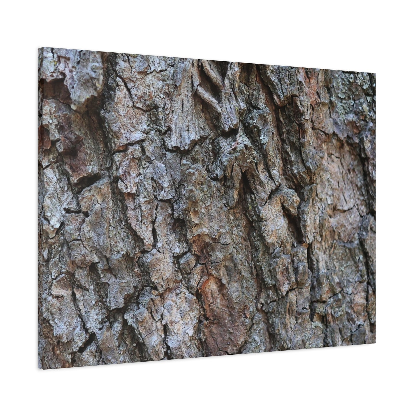 Rugged Canvas - Unique Frameless Canvas Wall Art - Art By Earth