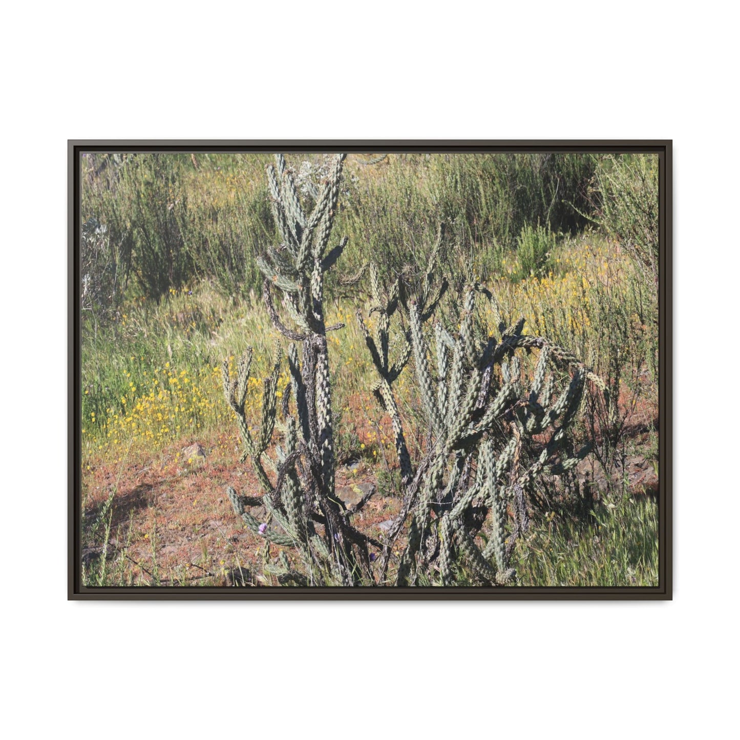 Wildflower Meadow - Unique Stretched Canvas Wall Art - Art By Earth