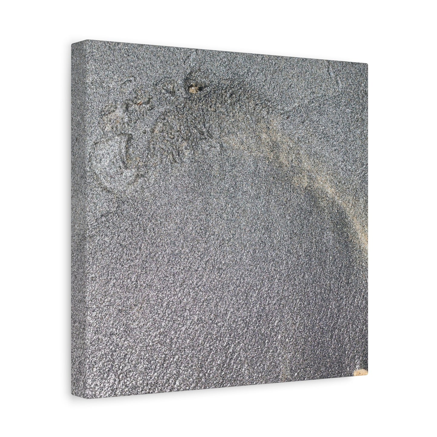 Ephemeral Whispers of Granite - Unique Frameless Canvas Wall Art - Art By Earth