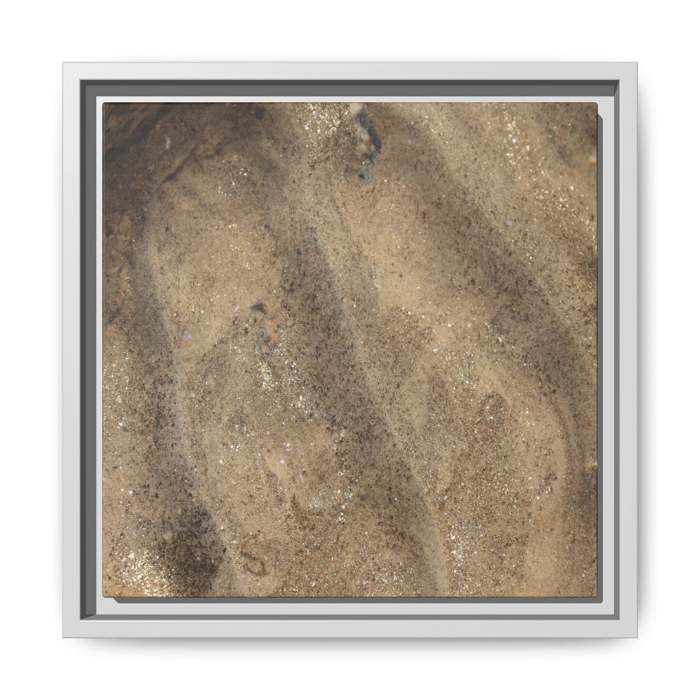 Tidal Pool Secrets - Unique Stretched Canvas Wall Art - Art By Earth