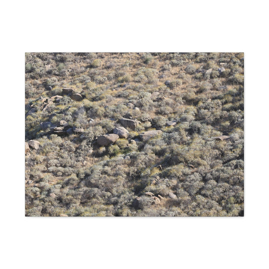 Desert Landscape with Scattered Rocks and Sage - Unique Frameless Canvas Wall Art - Art By Earth