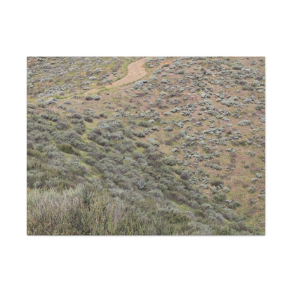 Desert Path Through Sagebrush - Unique Frameless Canvas Wall Art - Art By Earth