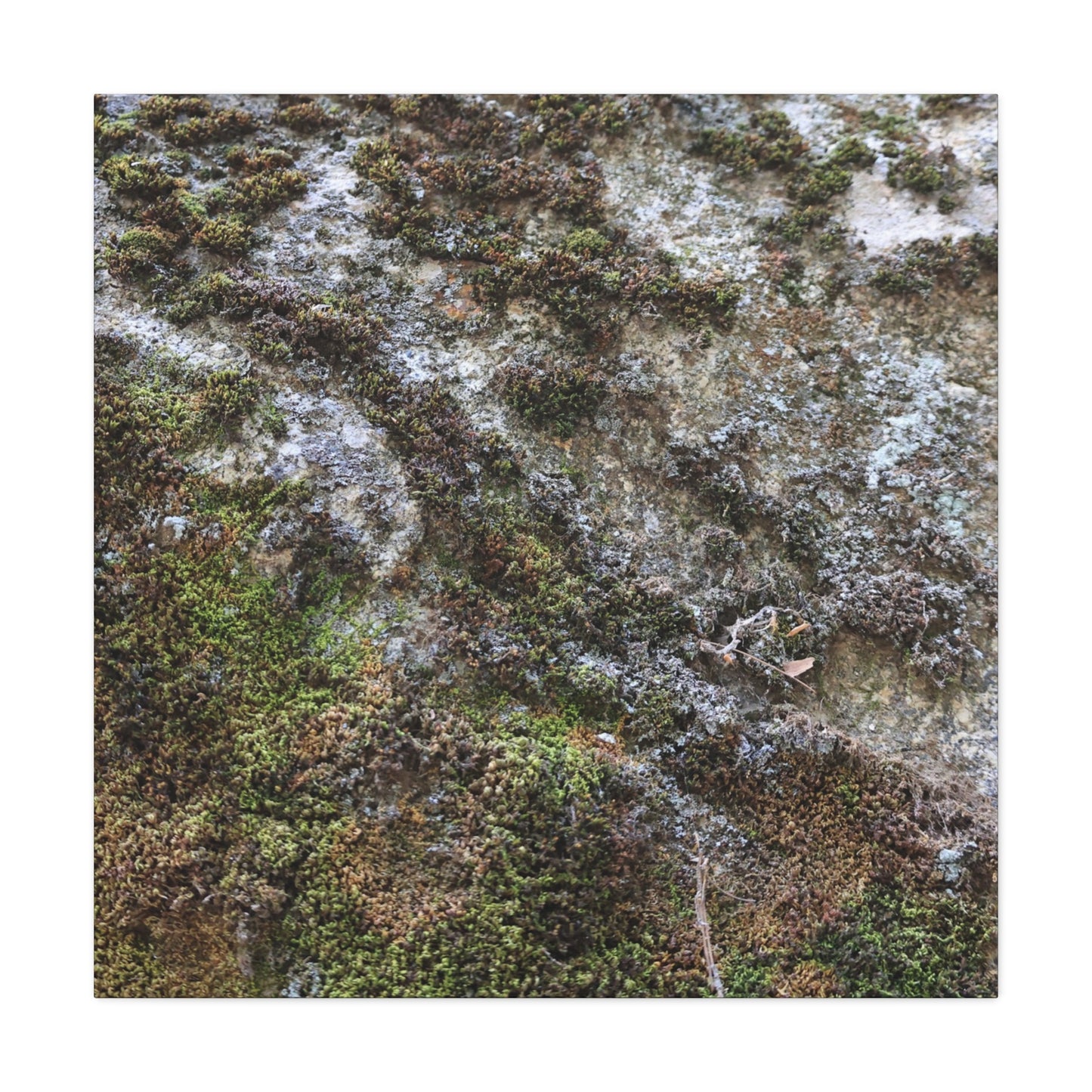 Moss Tapestry - Unique Frameless Canvas Wall Art - Art By Earth