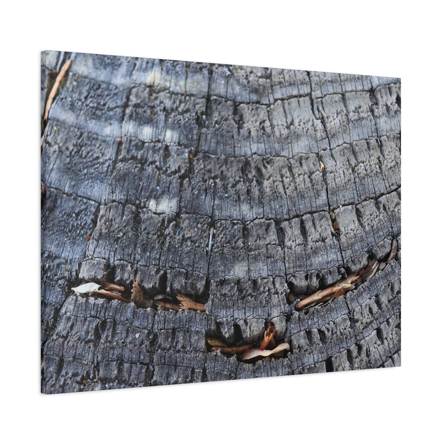 Time's Fractal Whispers - Unique Frameless Canvas Wall Art - Art By Earth