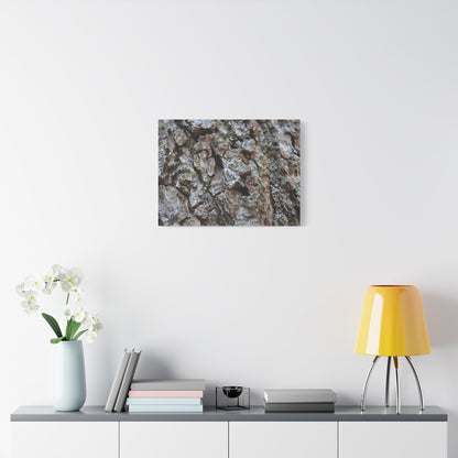 Cracked Echoes - Unique Frameless Canvas Wall Art - Art By Earth