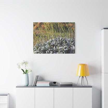 Desert Wildflowers in Bloom - Unique Frameless Canvas Wall Art - Art By Earth