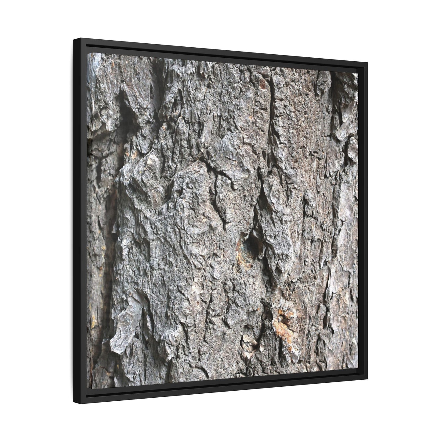 Crusty Exterior - Unique Stretched Canvas Wall Art - Art By Earth