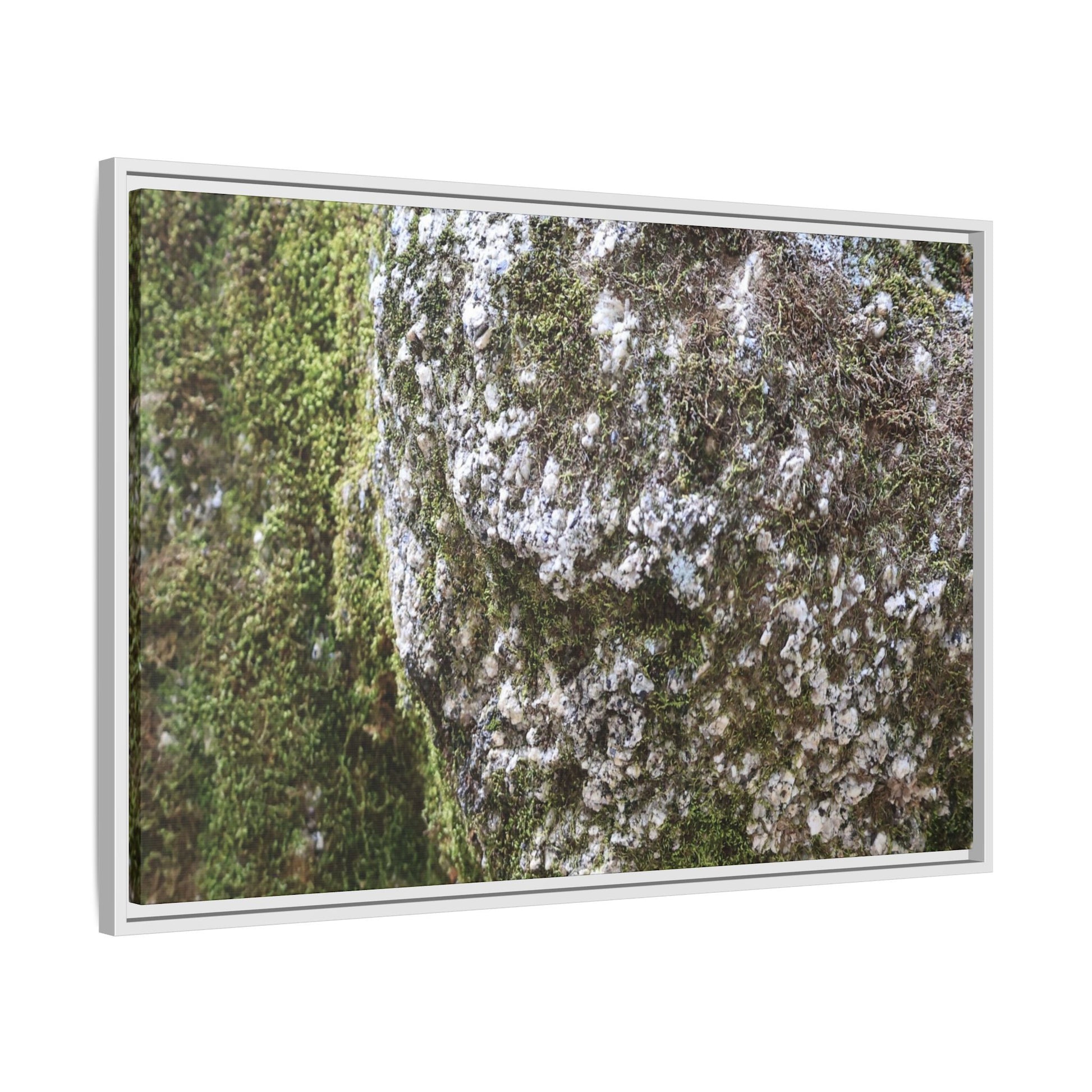 Lichen Landscape - Unique Stretched Canvas Wall Art - Art By Earth