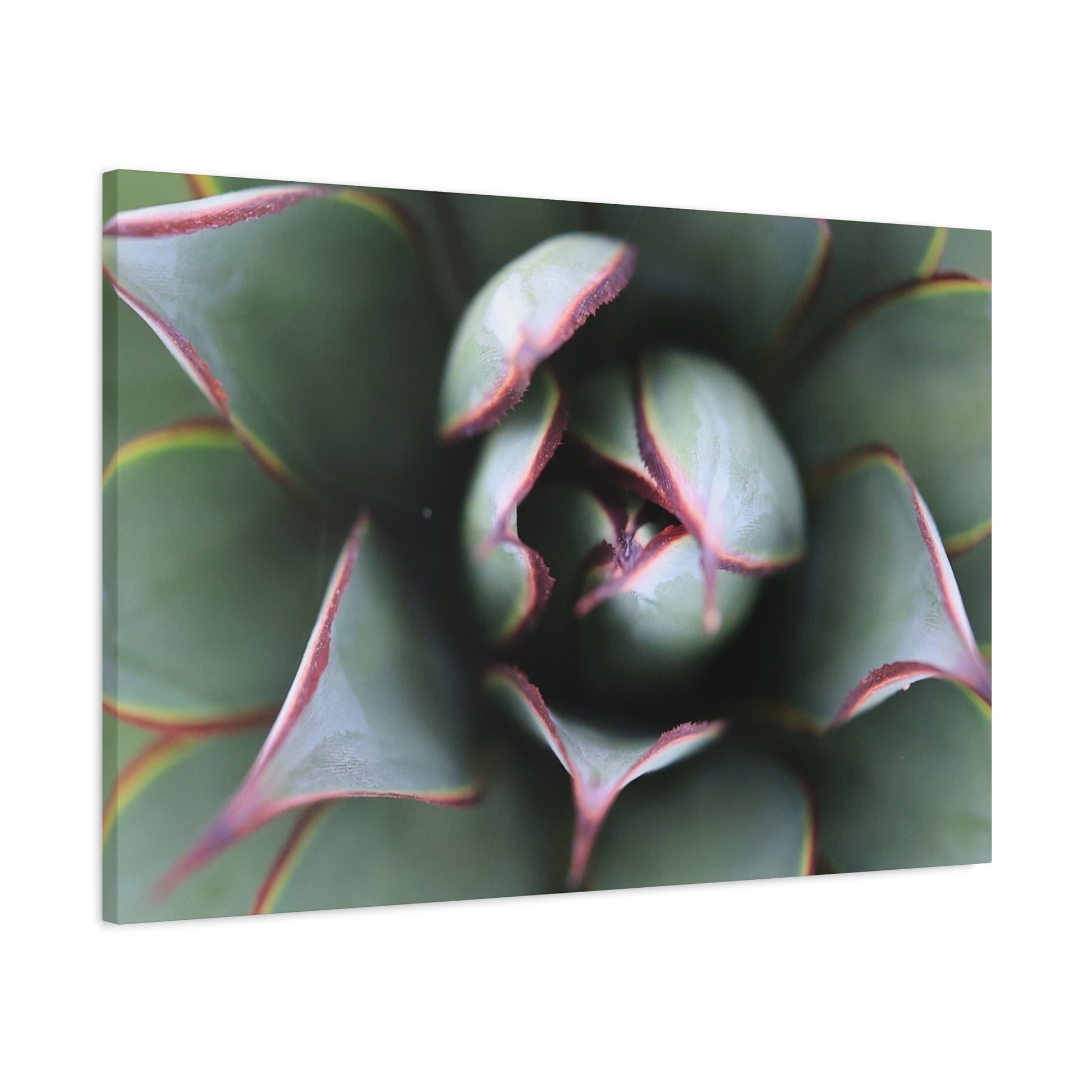 Emerald Spiral - Unique Frameless Canvas Wall Art - Art By Earth