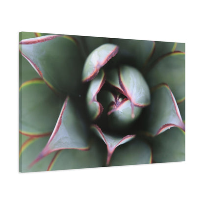 Emerald Spiral - Unique Frameless Canvas Wall Art - Art By Earth