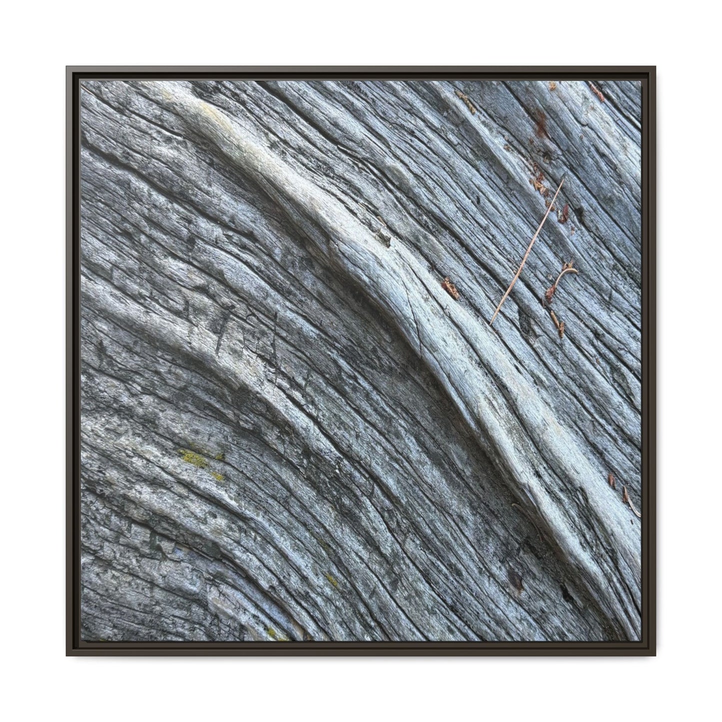 Aged Timber - Unique Stretched Canvas Wall Art - Art By Earth