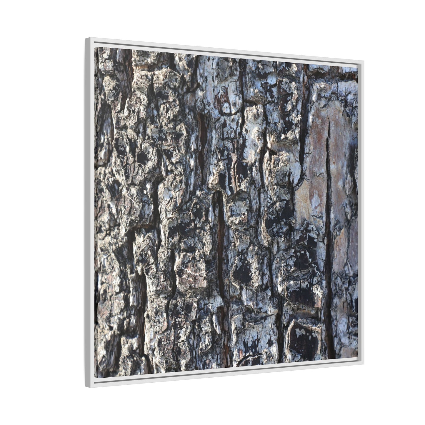 The Bark Chronicles - Unique Stretched Canvas Wall Art - Art By Earth