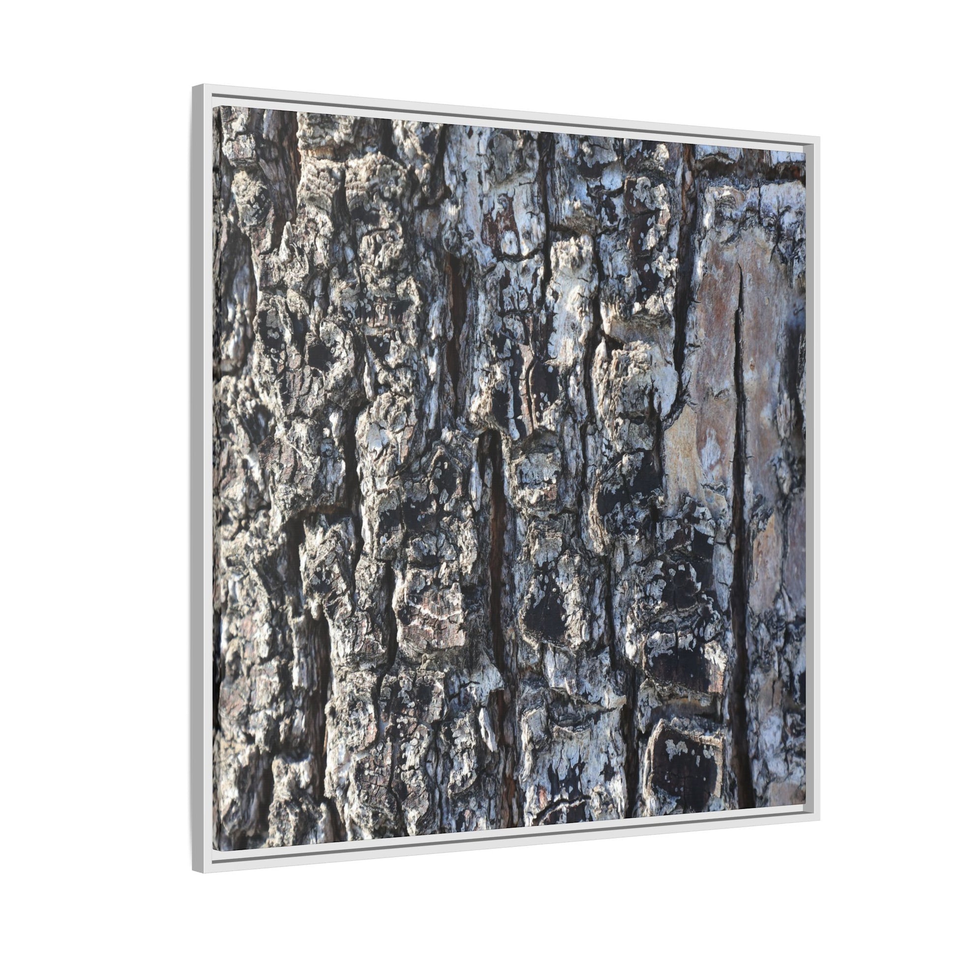 The Bark Chronicles - Unique Stretched Canvas Wall Art - Art By Earth
