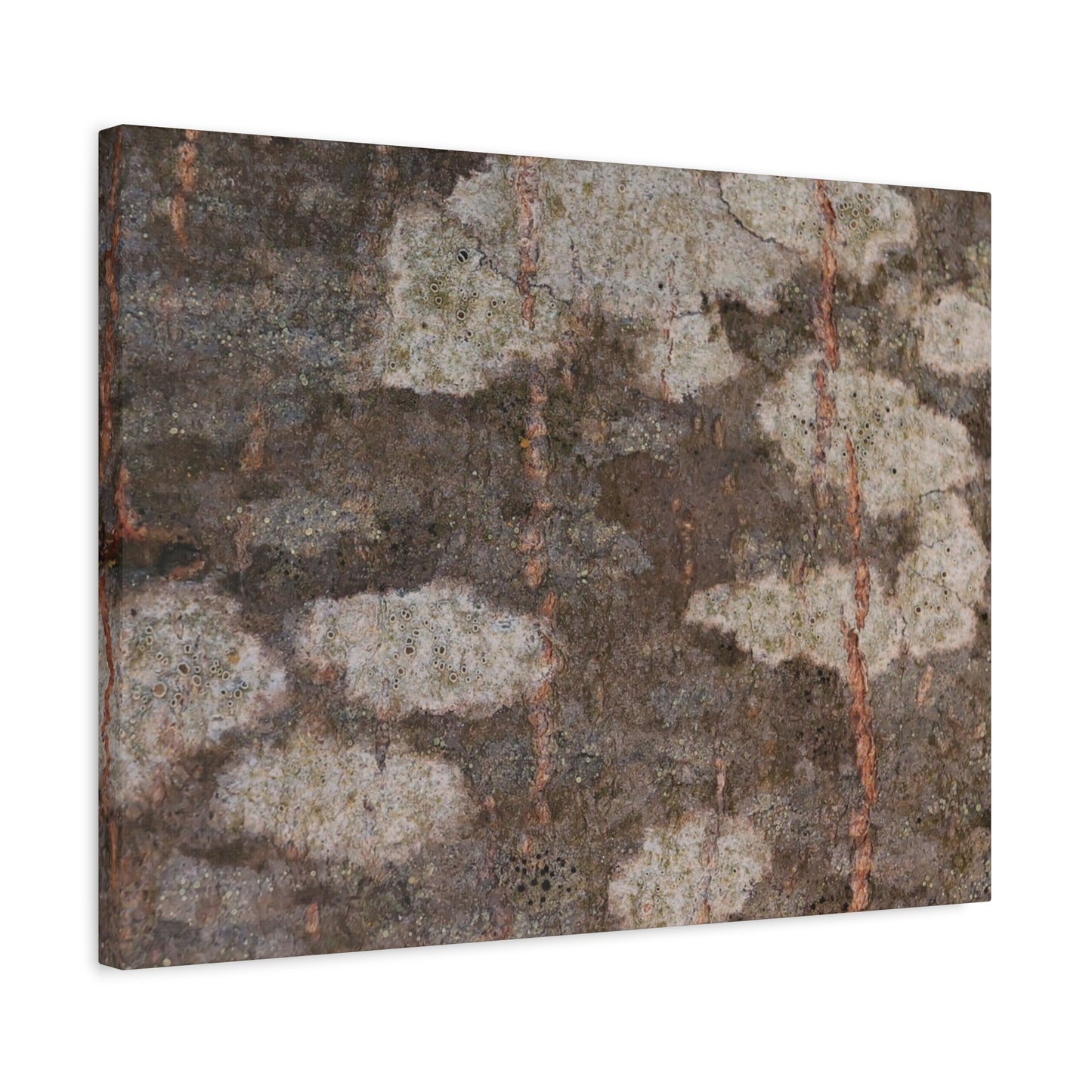 Earthen Memoir - Unique Frameless Canvas Wall Art - Art By Earth