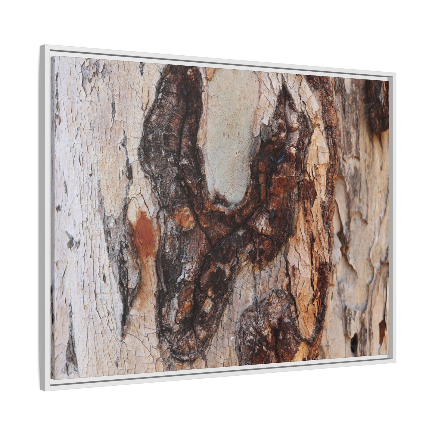 Texture of Time - Unique Stretched Canvas Wall Art - Art By Earth