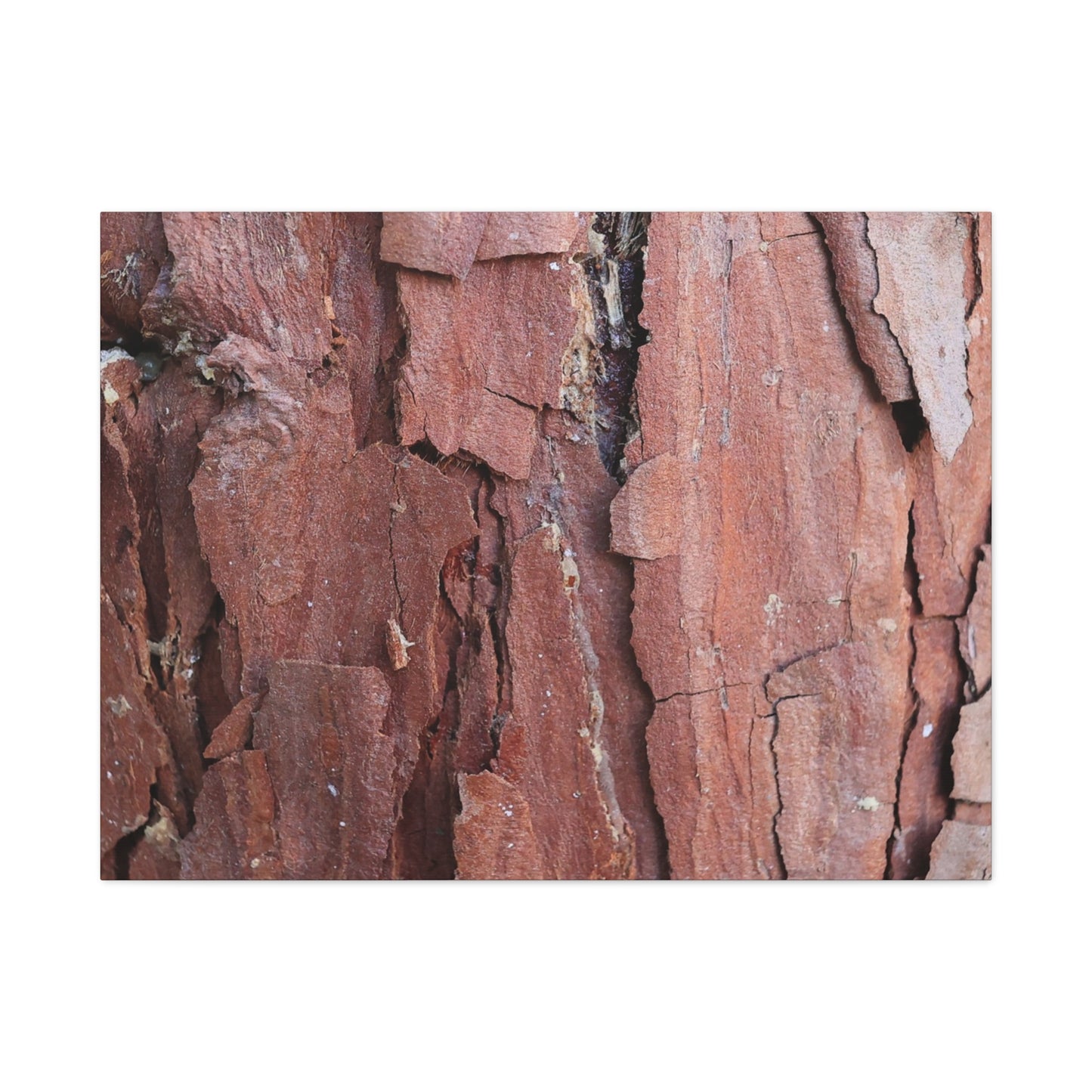 Crimson Fissures - Unique Frameless Canvas Wall Art - Art By Earth