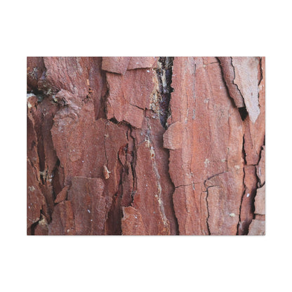 Crimson Fissures - Unique Frameless Canvas Wall Art - Art By Earth