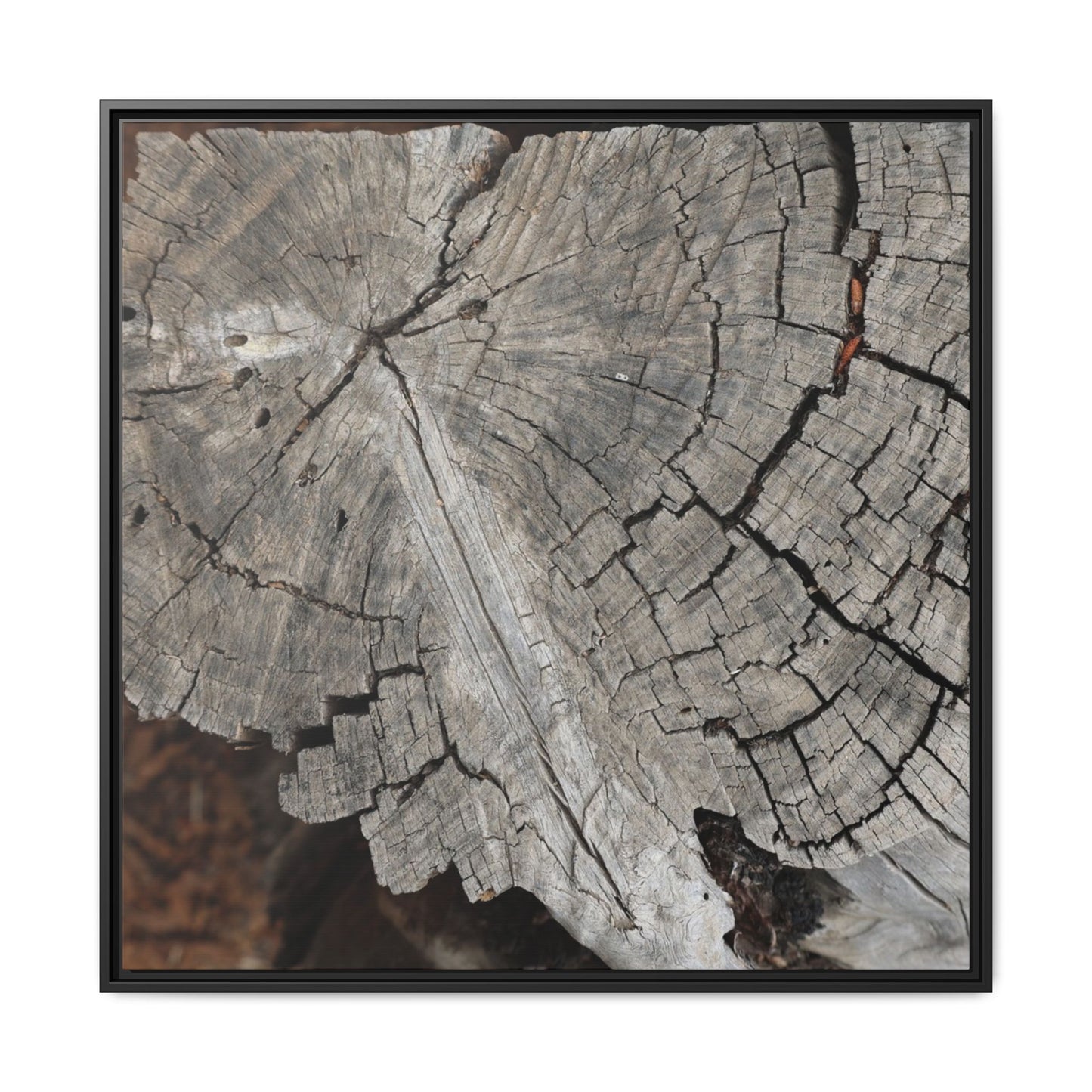 Time's Signature - Unique Stretched Canvas Wall Art - Art By Earth