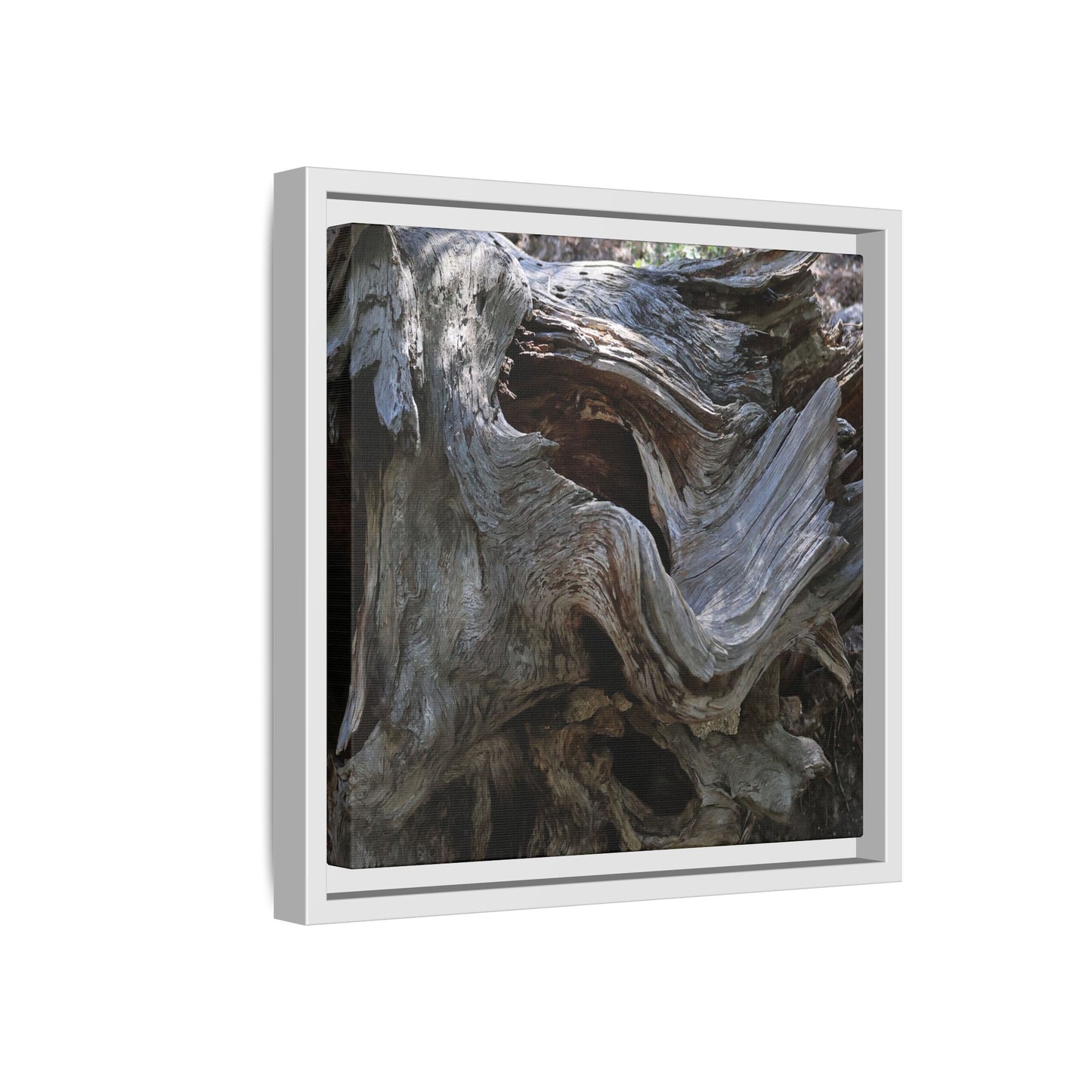 Twisted Memories - Unique Stretched Canvas Wall Art - Art By Earth