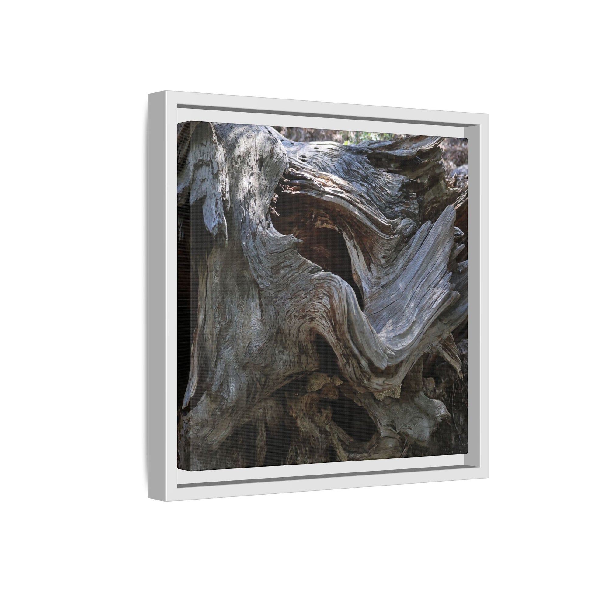 Twisted Memories - Unique Stretched Canvas Wall Art - Art By Earth