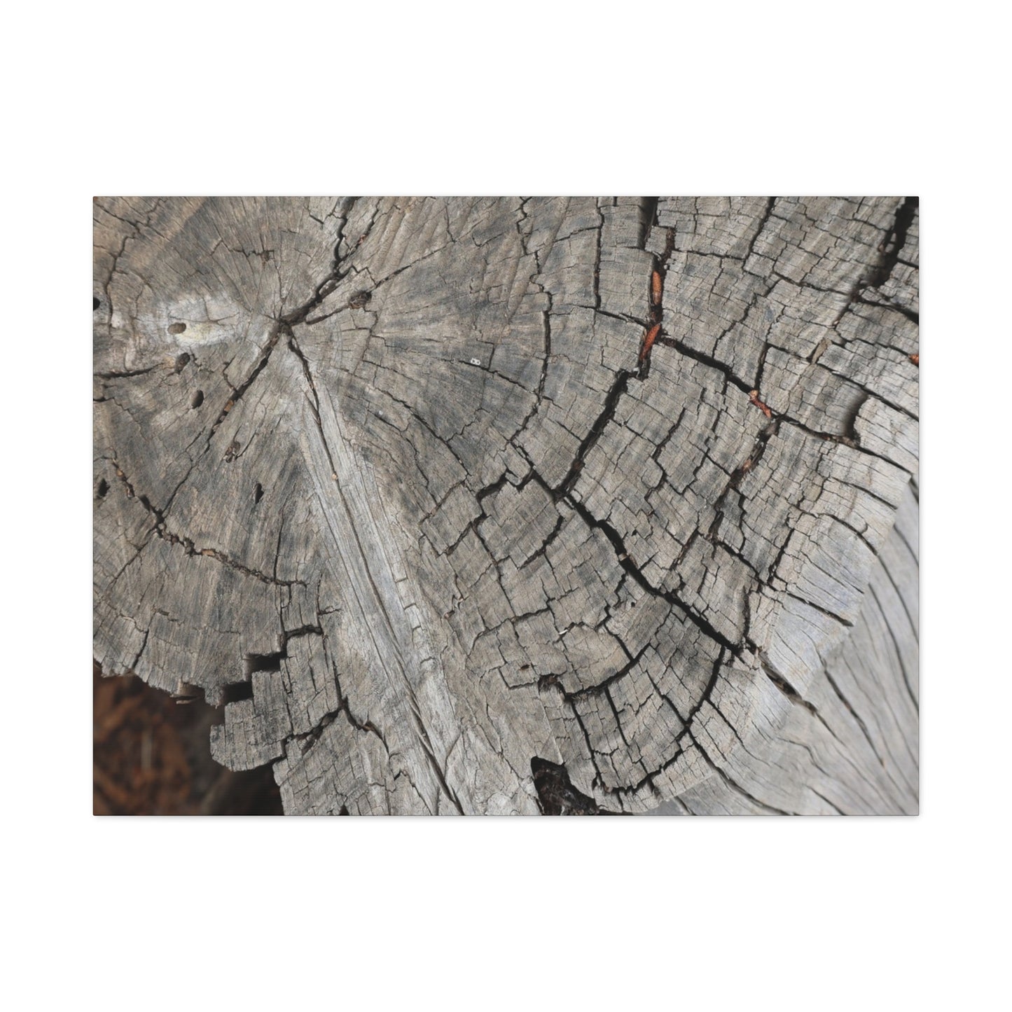 Cracked Memories - Unique Frameless Canvas Wall Art - Art By Earth