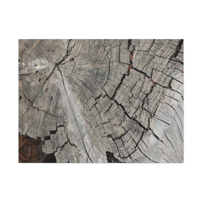 Cracked Memories - Unique Frameless Canvas Wall Art - Art By Earth