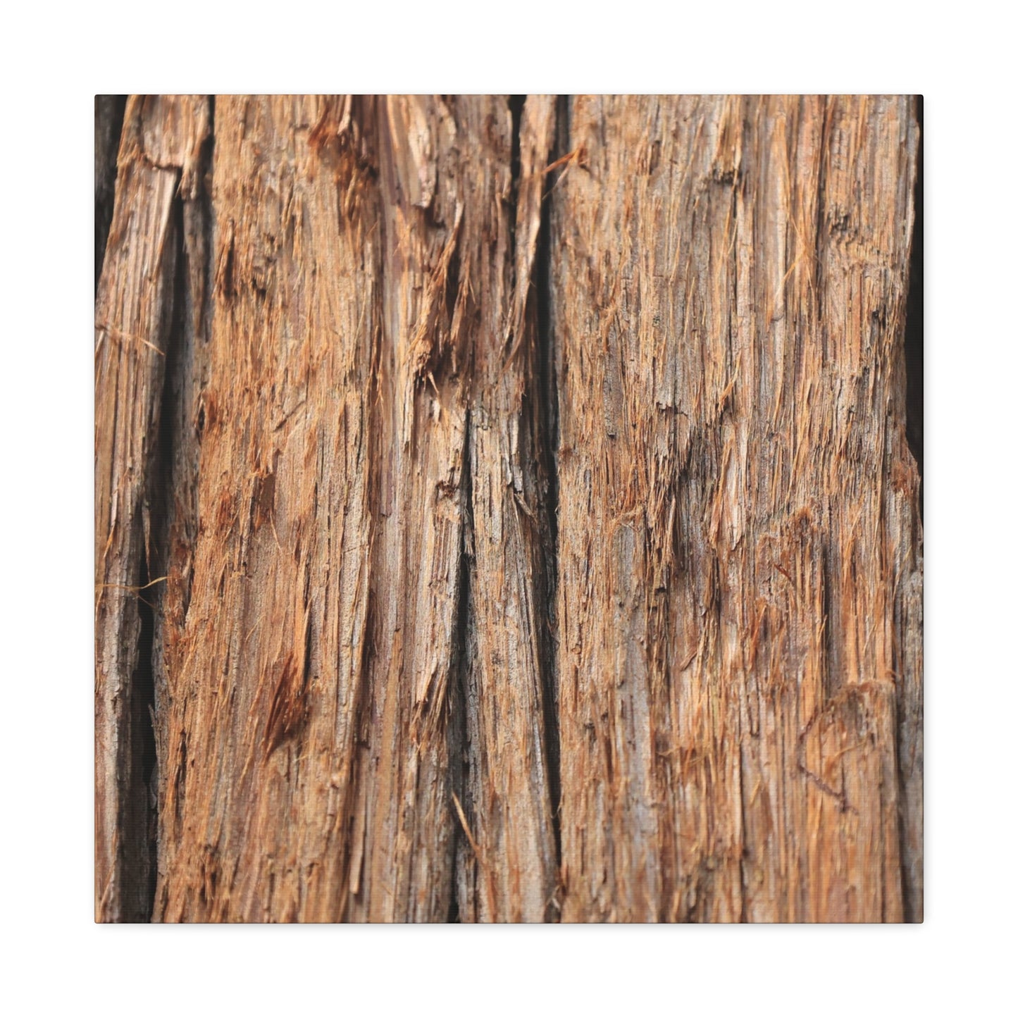 Woodland Echoes - Unique Frameless Canvas Wall Art - Art By Earth