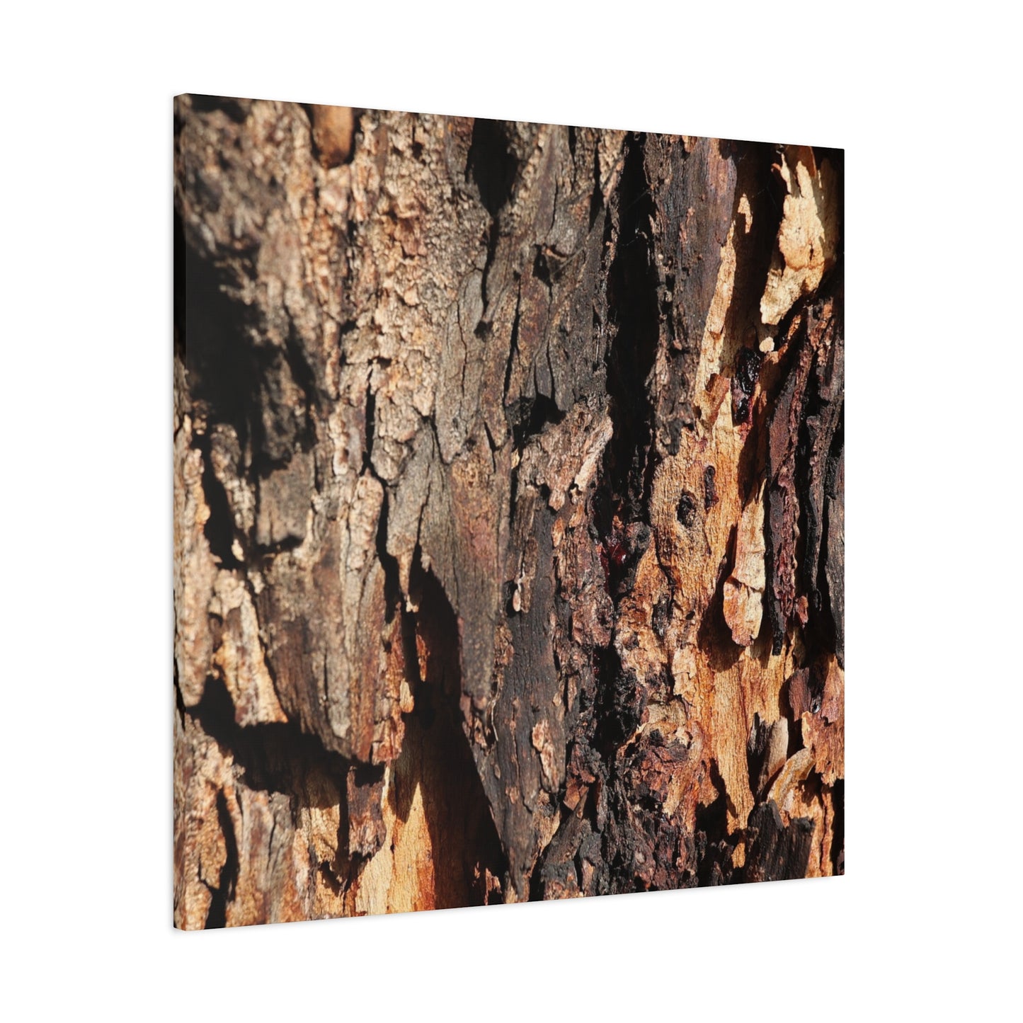 Wooden Terrain - Unique Frameless Canvas Wall Art - Art By Earth