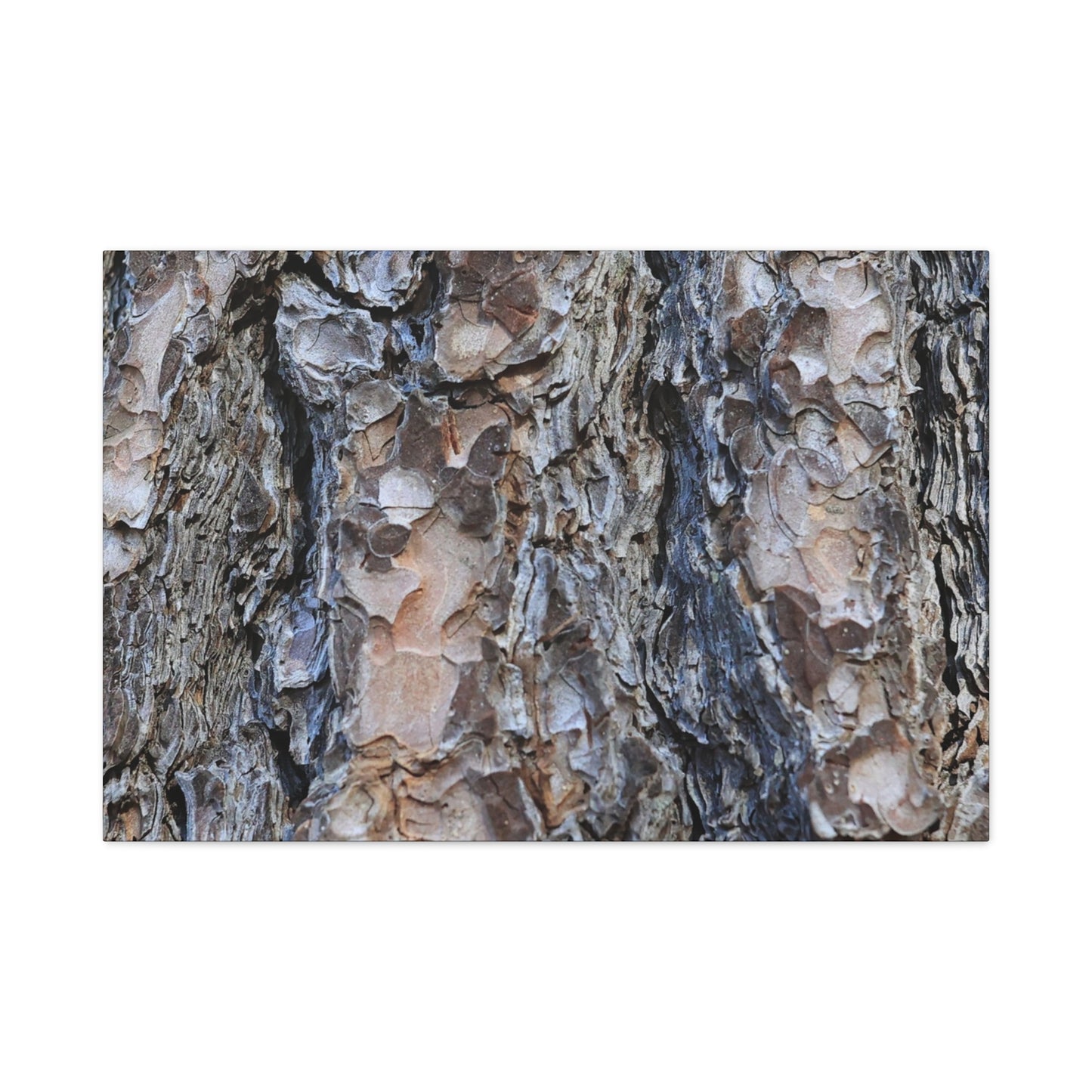 Arboreal Patterns - Unique Frameless Canvas Wall Art - Art By Earth