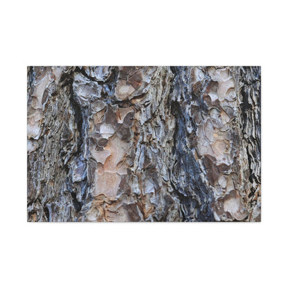 Arboreal Patterns - Unique Frameless Canvas Wall Art - Art By Earth