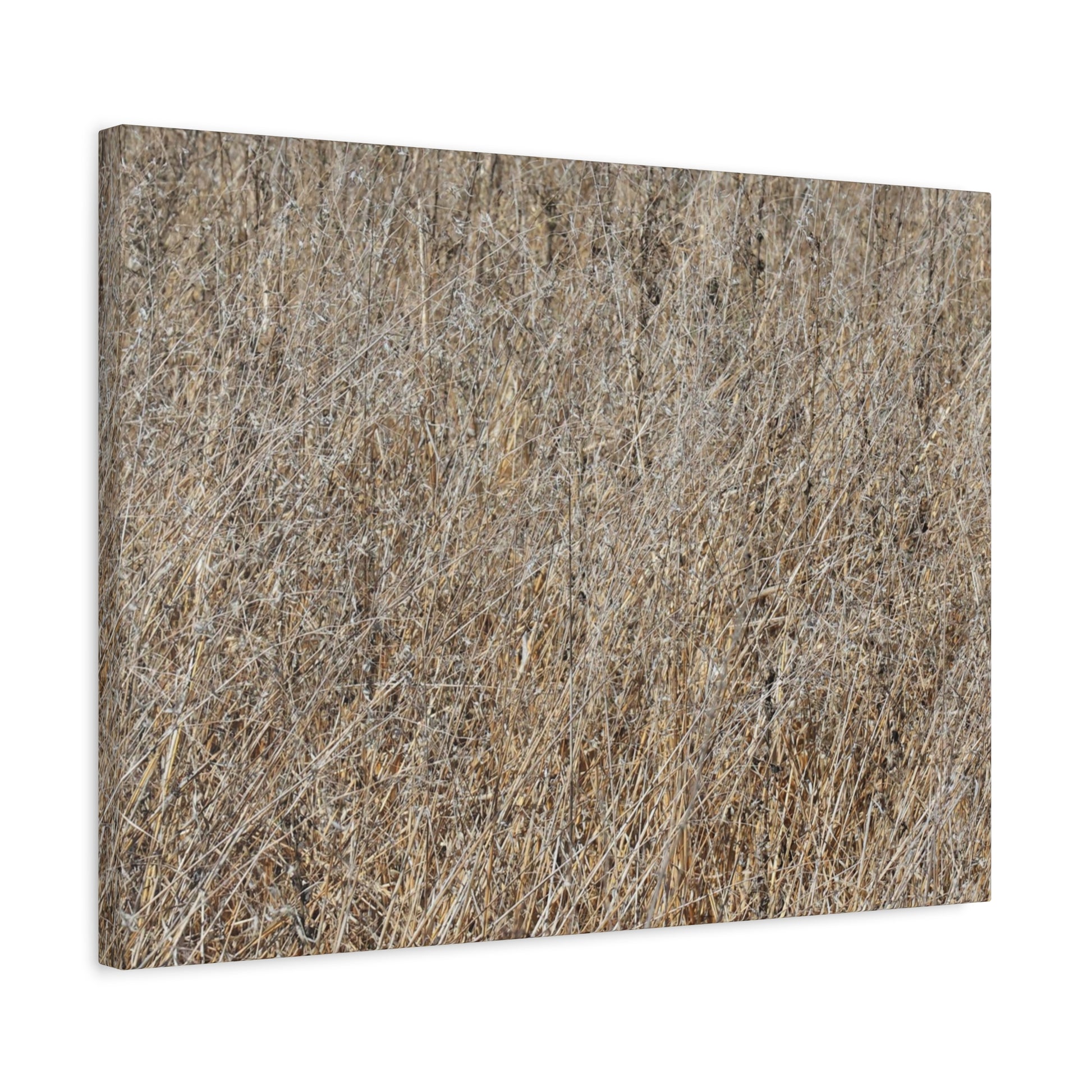 Silent Prairie - Unique Frameless Canvas Wall Art - Art By Earth