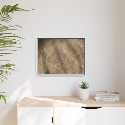 Tidal Pool Secrets - Unique Stretched Canvas Wall Art - Art By Earth