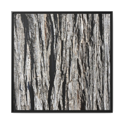 Bark Lines - Unique Stretched Canvas Wall Art - Art By Earth