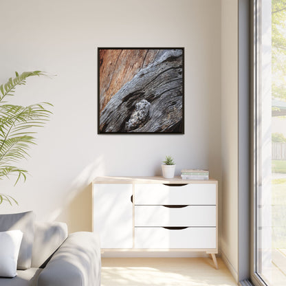 Time's Mark on Timber - Unique Stretched Canvas Wall Art - Art By Earth