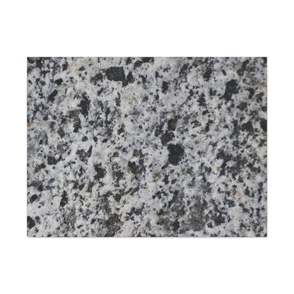 Grainy Whispers - Unique Frameless Canvas Wall Art - Art By Earth